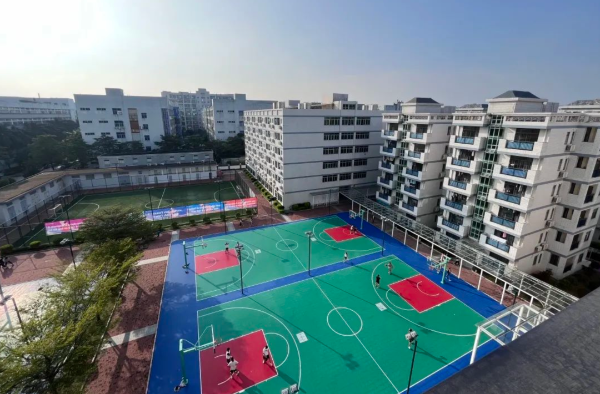 深圳新哲书院——曾创下深圳首枚哈佛、MIT本科录取奇迹