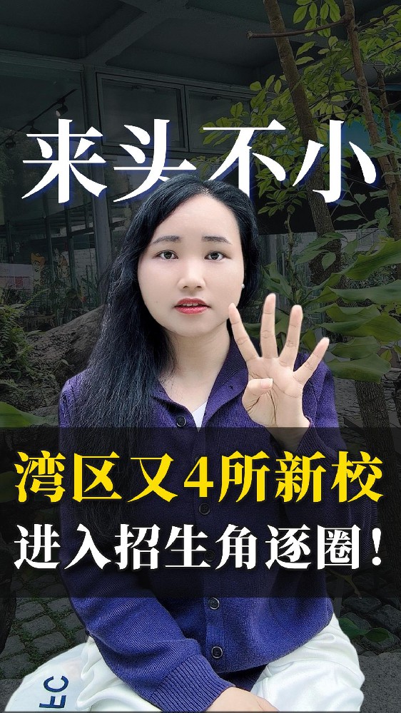 大湾区又有4所新学校 已进入招生角逐圈！